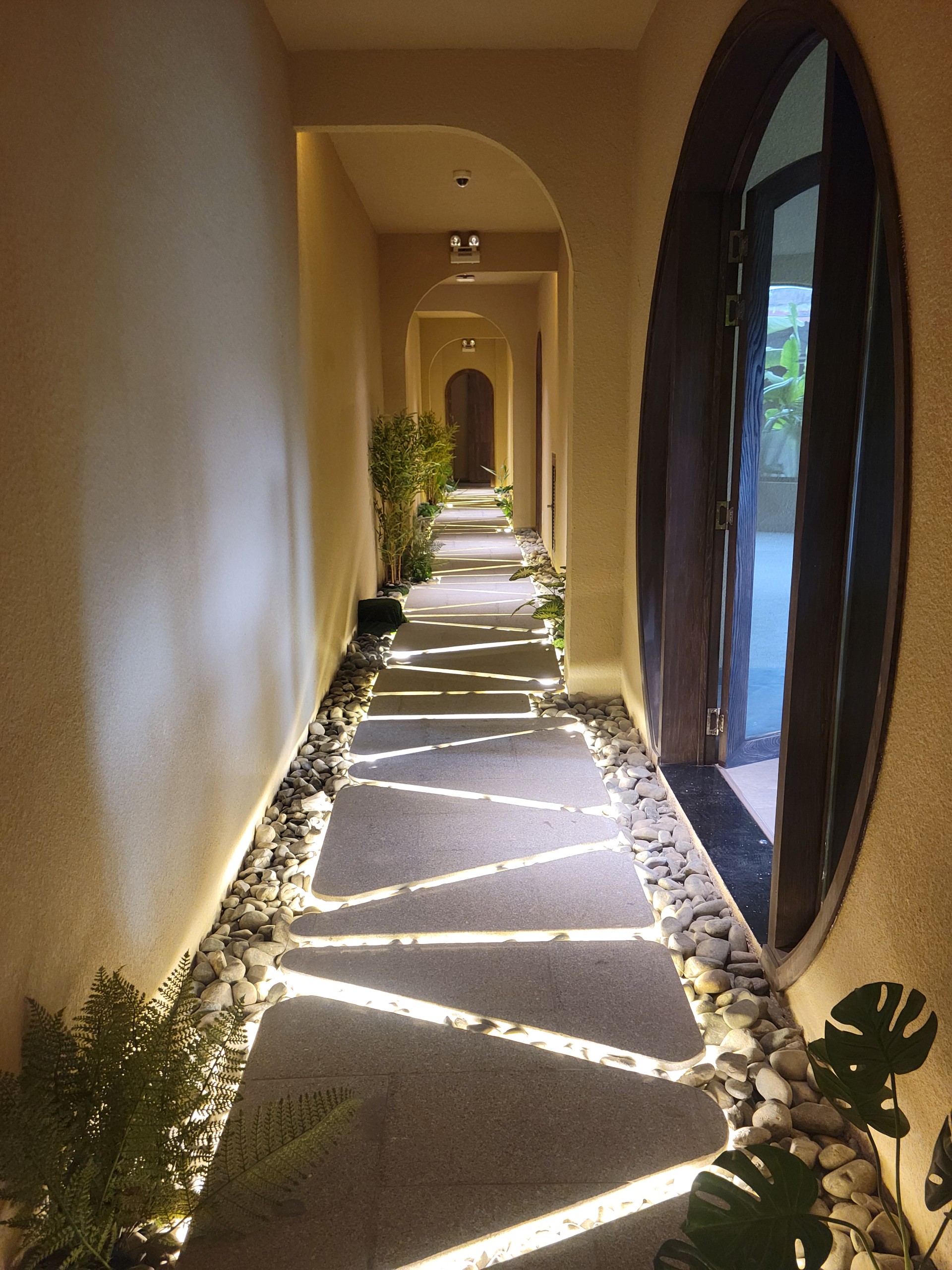 z5638644545504_87f2a730439669bfd48fd7dbe8c0c434