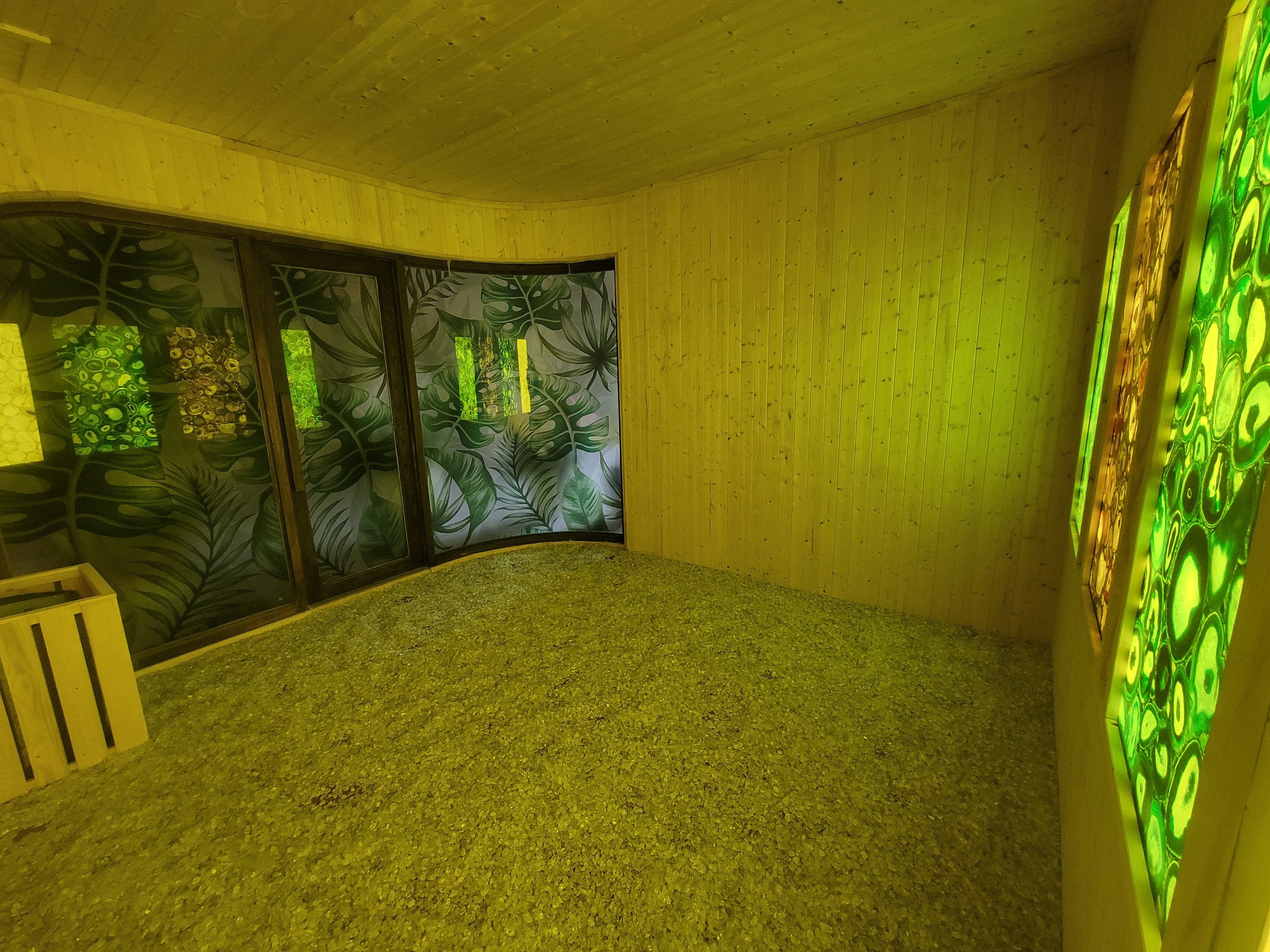 z5638648164486_e40acdf0713bbf9fccc8328c6ac8aac6