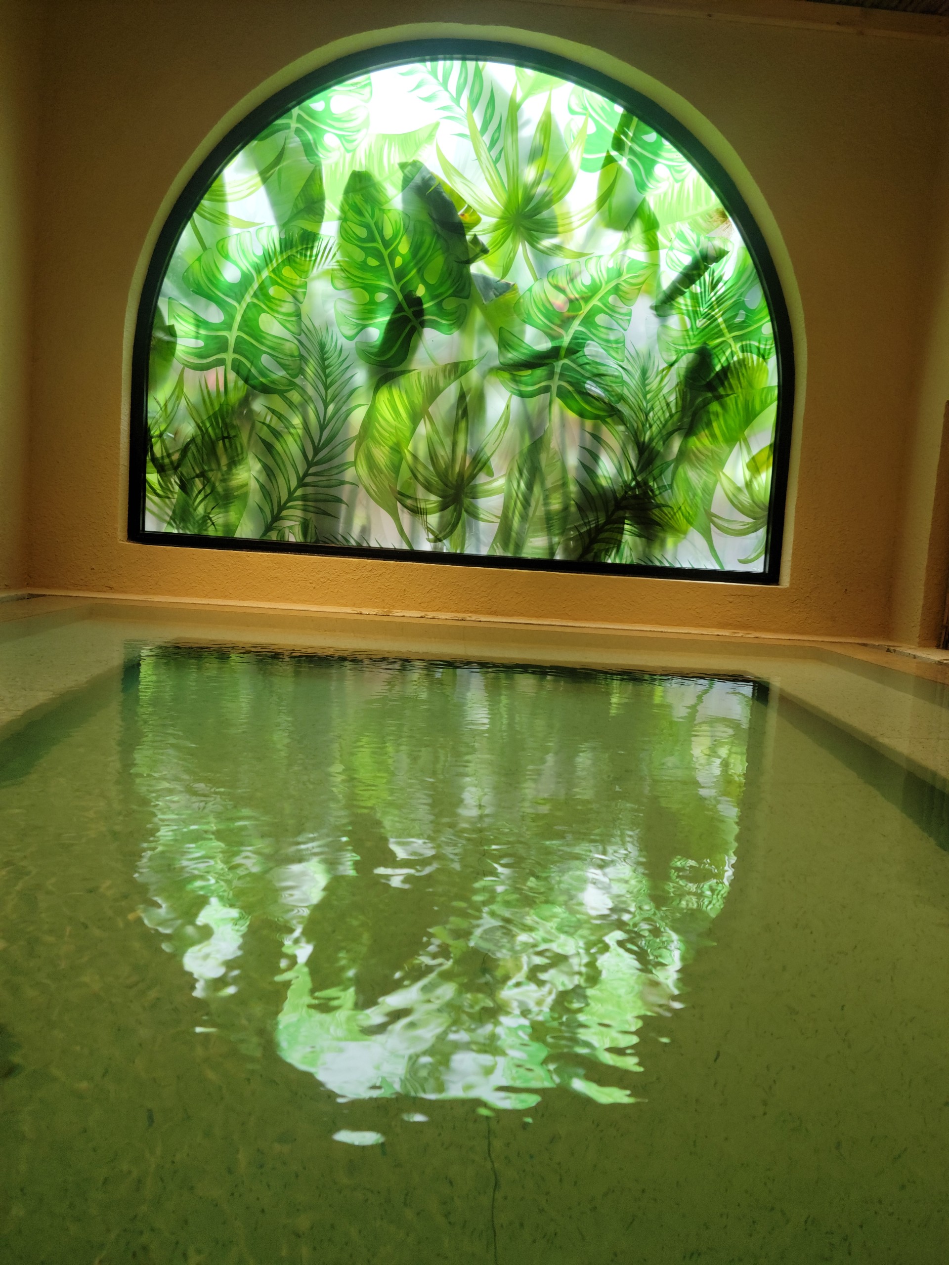 z5638648178230_1b02f8a481ca9fec0df3a64481a27474