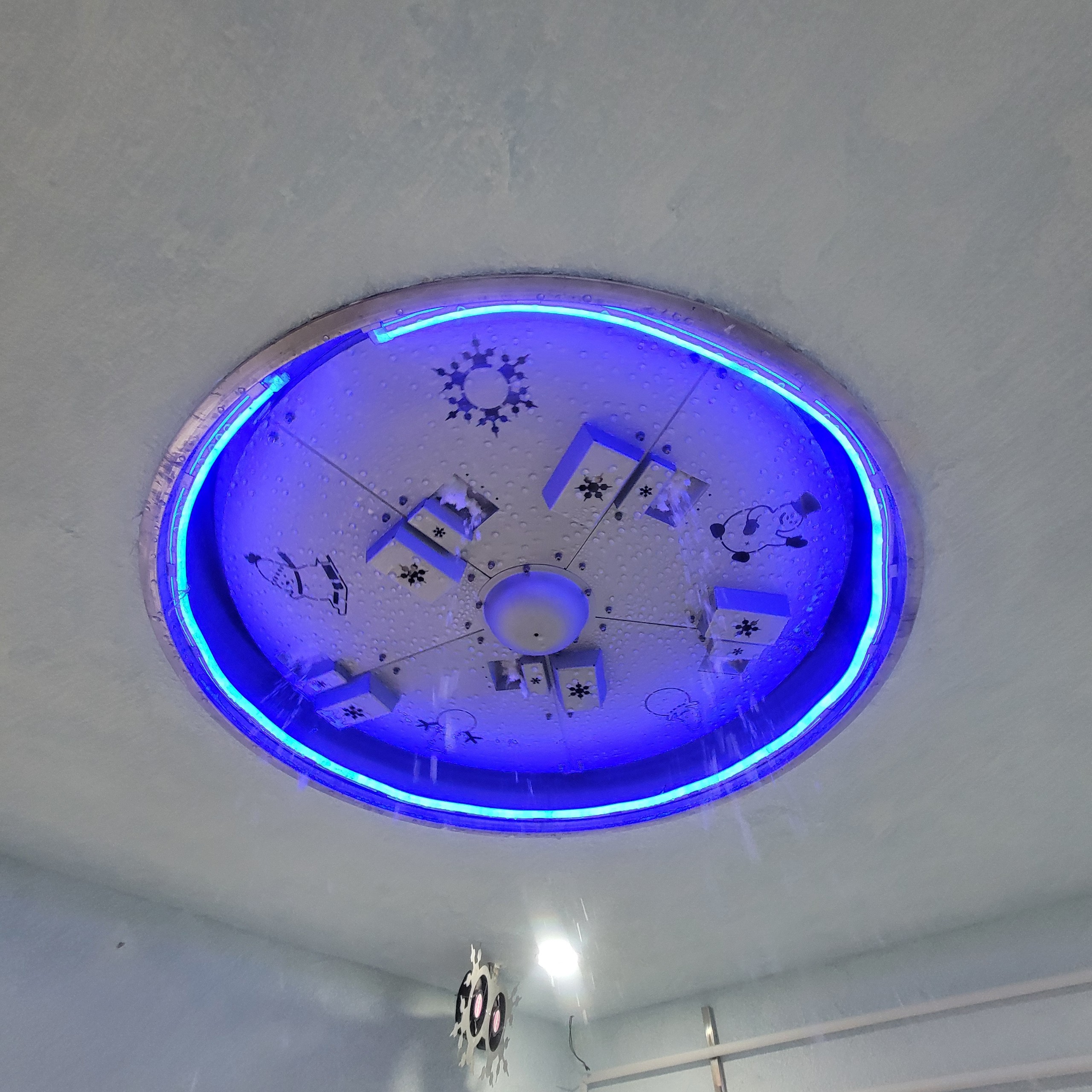 z5678176113434_460b053c0cceb0fc65bb858d91a84258 (1)