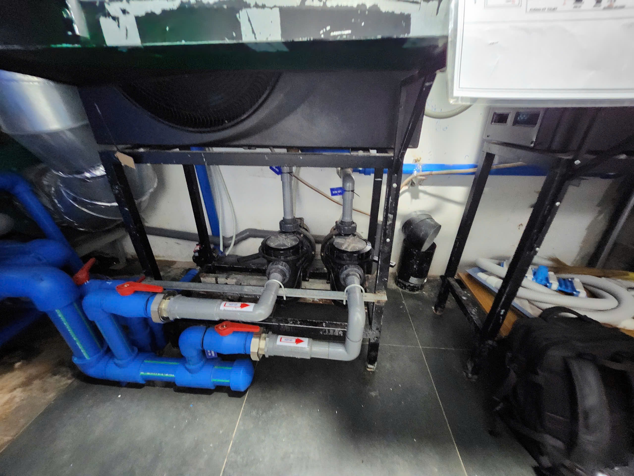 z7559538951490_9871472b378167de9d03a15d8375a918